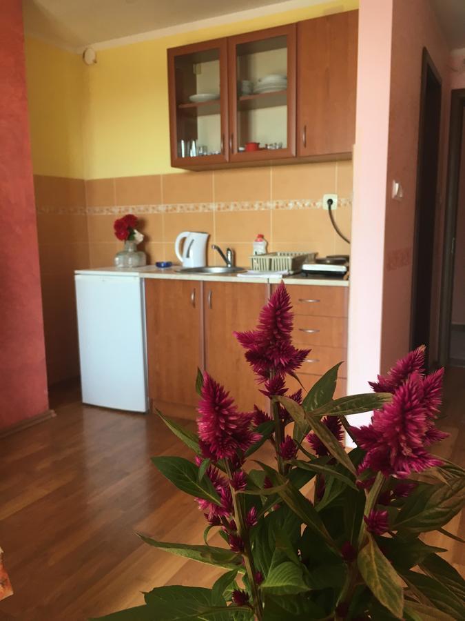 Sunny Villa Apartments Будва Екстер'єр фото